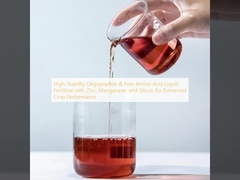 Oligopeptide met hoge stabiliteit en vloeibare meststof met vrije aminozuren met zink, mangaan en silicium voor een verbeterde oogstprestatie