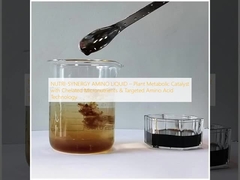 NUTRI-SYNERGY AMINO LIQUID    Plantenmetabole katalysator met gecheleerde micronutriënten en gerichte aminozuurtechnologie