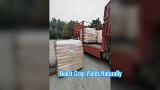 Premium collageenbiostimulant voor hoge gewasopbrengsten