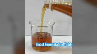 Boost-fermentatie levert enzymatisch soja-eiwit op