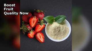 Organische calciummeststof verhoogt de fruitopbrengst