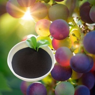 Ph7-9 Organic Fertilizer Amino Acid Powder Water Soluble Chelated Iron O-O 4.8