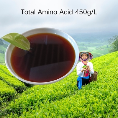 Amino Acid Liquid 45% w/v Amino Acid Raw Material 6% Total Nitrogen CAS 65072-01-7