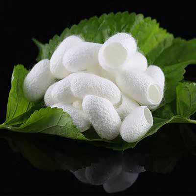 Gel Cosmetic Raw Material Hydrolyzed Silk Amino Acid Silk Protein For Hair