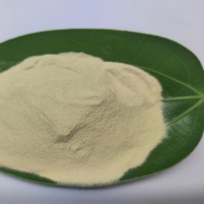 Organic Grass Fertilizer Amino Acid Powder 80% Bio Fertilizer For Fruits Vegetables
