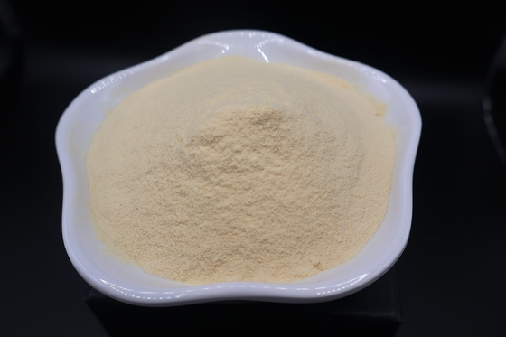 Industrial-Grade Bone Peptone – Advanced Nutrient Solution for Microbial & Fermentation Application