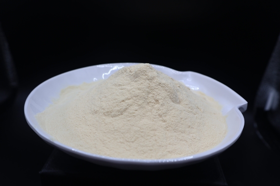 Industrial Fermentation-Grade Bone Peptone – High-Performance Nitrogen Source for Optimal Microbial Growth