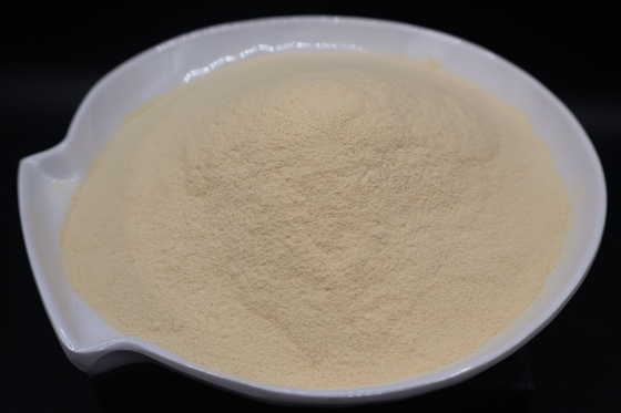 Industrial Fermentation-Grade Bone Peptone - Superior Nitrogen Source for High-Yield Bioprocessing