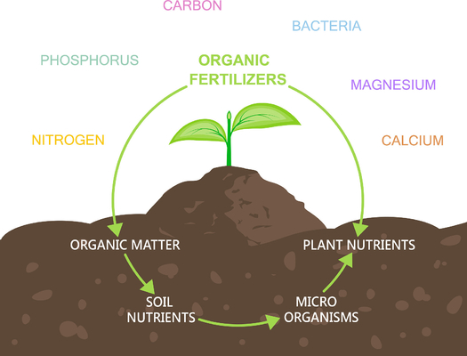 OMRI Organic 16%N Amino Acid Fertilizer Premium Greenhouse Solution for Faster, Healthier Crops