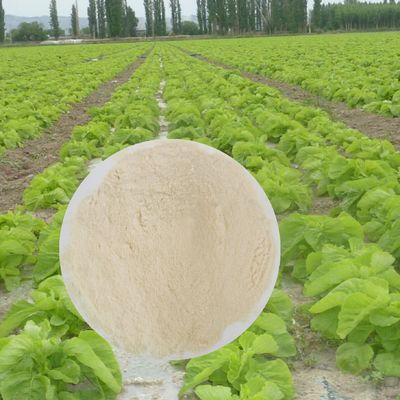 Chelated Calcium Magnesium Organic Foliar Spray Fertilizer Longer Fruit Shelf Time