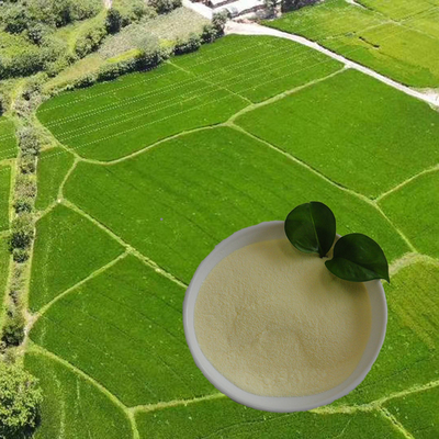 OMRI list soy protein hydrolysate amino acid nitrogen16 Amino Acid Powder 85% Agriculture