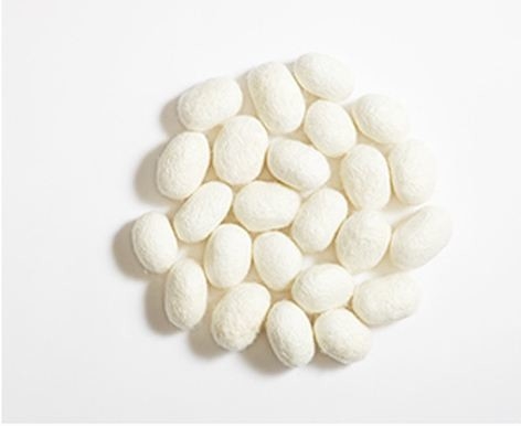PH5~7 Silk Amino Acid Powder Cas 96690-41-4 Silk Amino Acid Powder