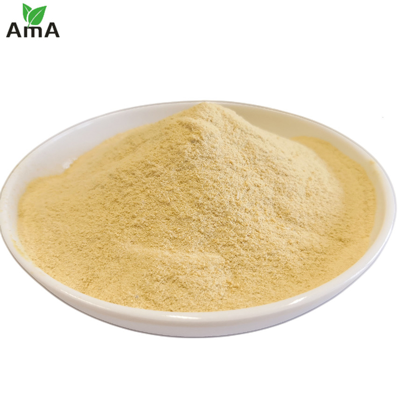 Plant Soya Source Amino Acid Foliar Fertilizer 60% Powder Glutamic Acid 20% For Field Crops