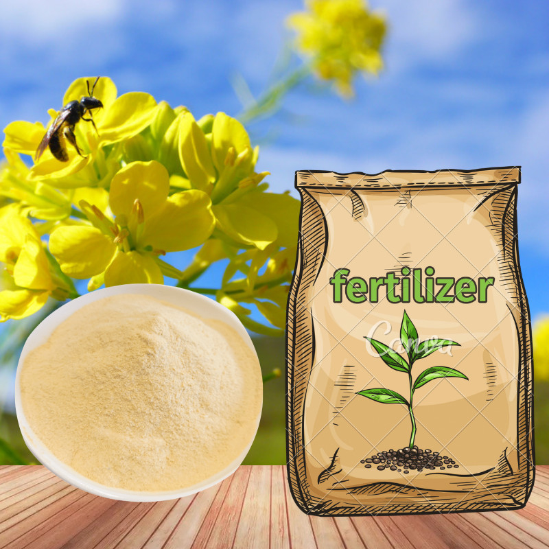 Amino Acid Chelate Magnesium Water Soluble Organic Fertilizer For Field Crops