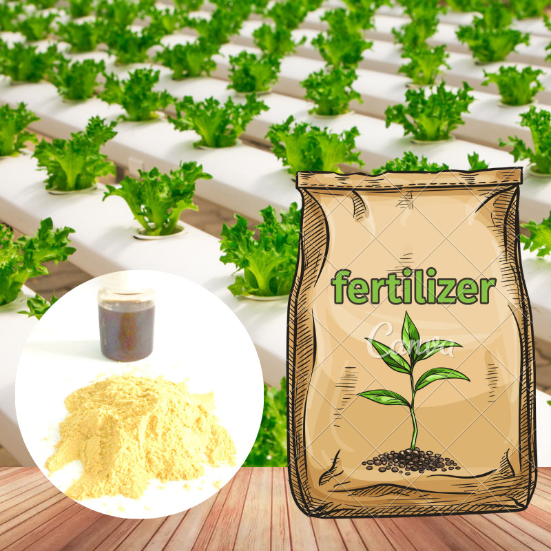Agricultural Vegetable Amino Acid Chelate Fe Organic Fertilizer For Feed