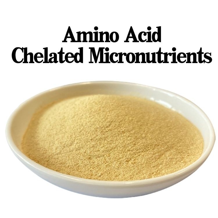 Organic Matter Amino Acid Chelate Fertilizer in Yellow Powder for Strong and Resilient Crops