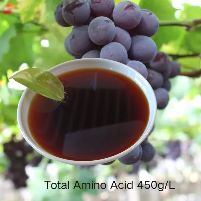 Amino Acid Liquid 45% w/v Amino Acid Raw Material 6% Total Nitrogen CAS 65072-01-7