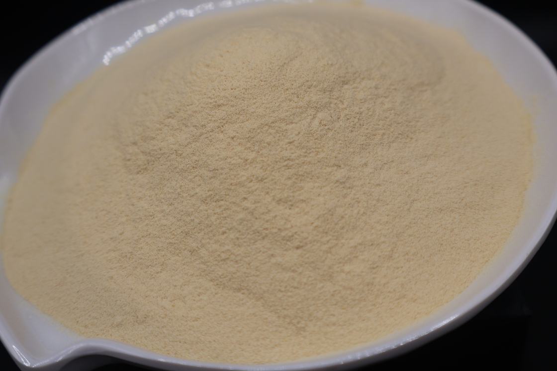 Industrial Fermentation-Grade Bone Peptone - Superior Nitrogen Source for High-Yield Bioprocessing