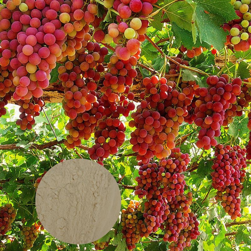 PH7-9 Amino Acid Chelate Fertilizer Based Organic Calcium Magnesium