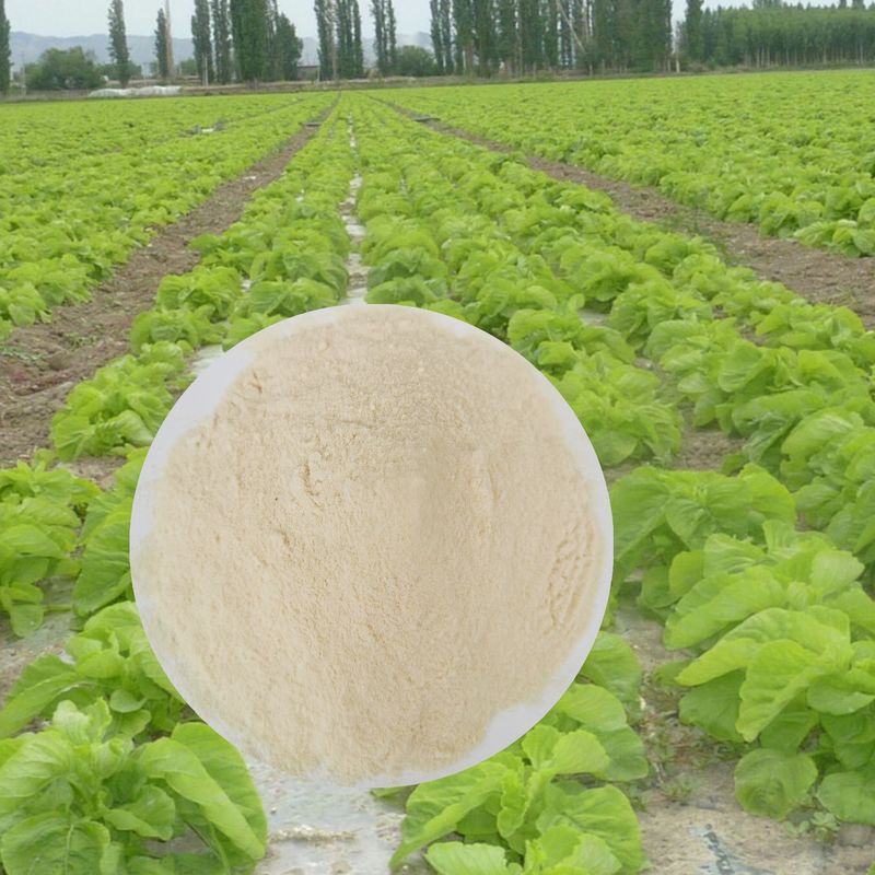 Chelated Calcium Magnesium Organic Foliar Spray Fertilizer Longer Fruit Shelf Time